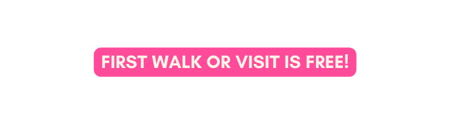 FIRST WALK OR VISIT IS FREE