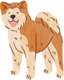 Cute Handdrawn  Akita Inu